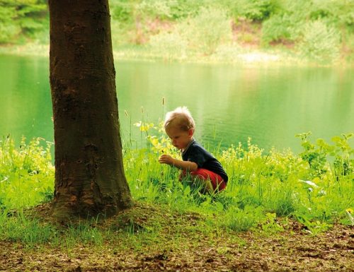 Ambiente: come educare i bambini al rispetto della natura