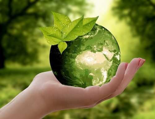 Mondo green: tre invenzioni ecologiche per combattere lo smog